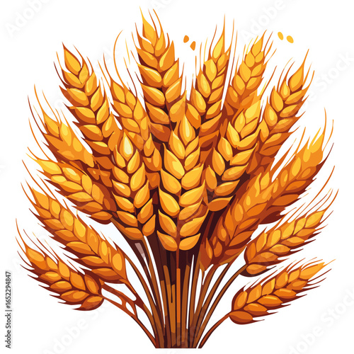 Spikelets of wheat in a sheaf vector color illustration. Image of cereals in spikelets on an isolated background for packaging and design.