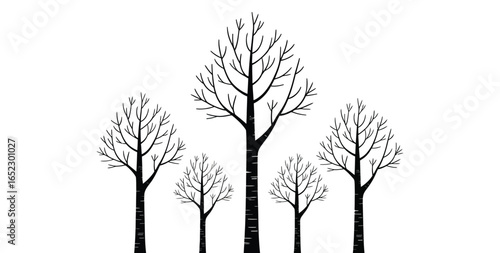 Minimal black silhouette of leafless trees in winter season, isolated on white background, nature illustration for forest and ecology themes