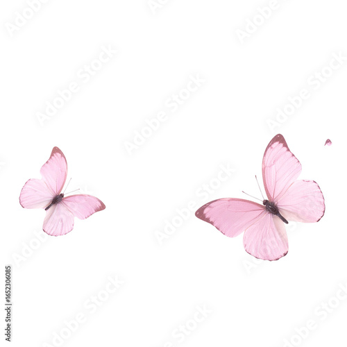 Pink butterfly background with pink butterflies fluttering around.