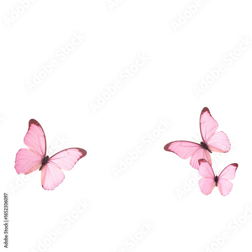Pink butterfly background with pink butterflies fluttering around.