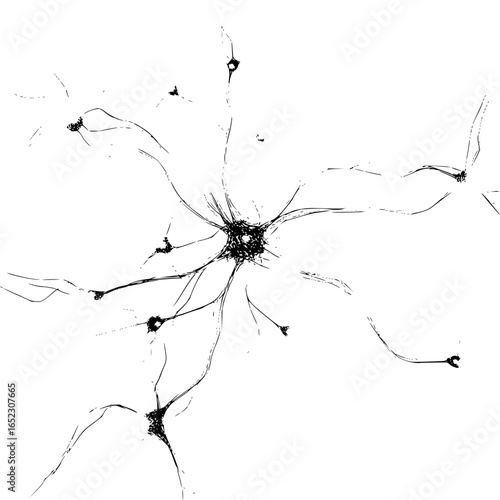 Neuron cell biology brain nervous system neural network dendrites axon synapse biology science medical research