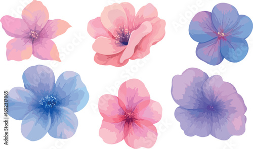 Collection of delicate watercolor flowers in soft pink blue and purple hues on white background