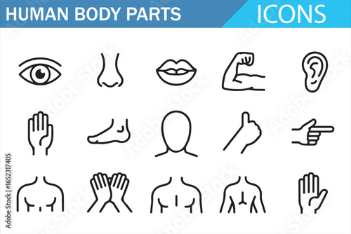 Essential Icons for Body Parts: Eyes, Mouth, Hands, Legs, and Fists