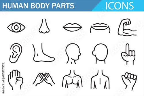 Body Parts Icon Set: Eyes, Mouth, Ears, Hands, and More