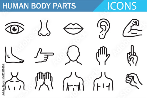 A Collection of Icons Representing Human Body Parts: Face, Hands, Feet