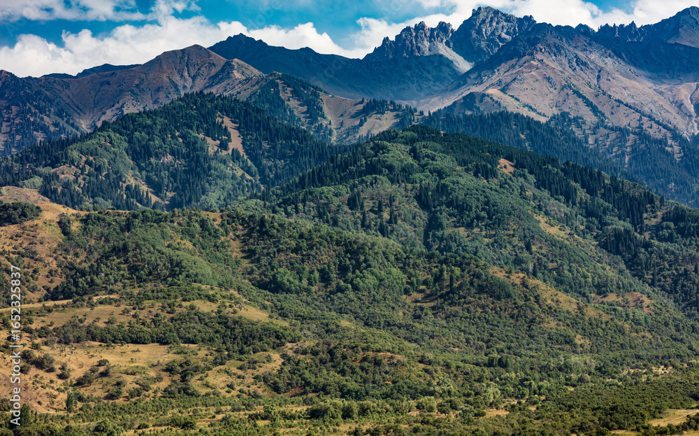 Fototapeta premium mountain landscape in the alps