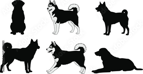 Dog Silhouettes, Husky Illustrations, Vector Art, Pet Graphics, Animal Designs, Various Poses, Black Outline, White Drawing, Dog Vector, Canine Art, Pet 