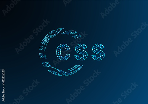 CSS low poly letter logo vector design. CSS lower poly logo design. CSS unique low poly logo design.