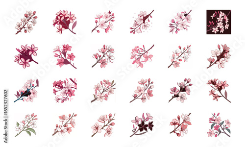 Set of 24 Beautiful Colorful Floral Illustrations Featuring Lavender, Lotus, Roses, Daisies, Gerbera, Hibiscus, Lilies, Peonies, Orchids, Cherry Blossoms, and Plumeria Flowers in Elegant Botanical Ar