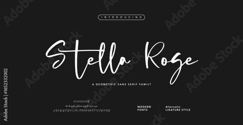 signature Font Calligraphy Logotype Script Brush Font Type Font lettering handwritten