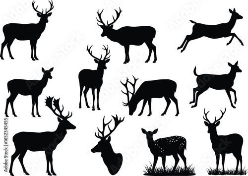 Flat vector illustration, deer silhouettes set, stag and doe icons, wildlife animals, hunting symbols, forest nature elements, reindeer graphic design