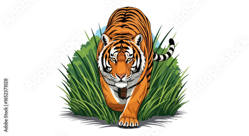 powerful transparent tiger illustration stalking predator in lush grass
