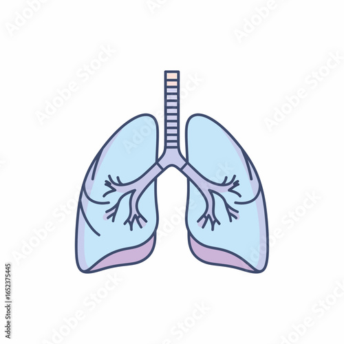 Stylized illustration of human lungs and trachea, showcasing the respiratory system's delicate branching airways in a clean, minimalist design.