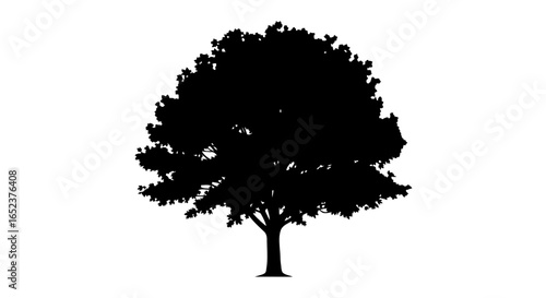 majestic oak tree silhouette transparent background for design projects