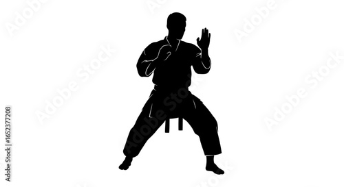 powerful karate silhouette transparent background vector illustration
