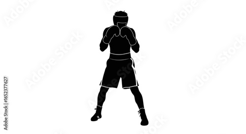 ready to strike boxer silhouette with transparent background