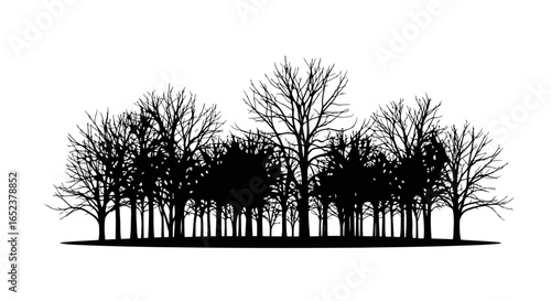 silhouette of leafless trees on transparent background winter forest illustration