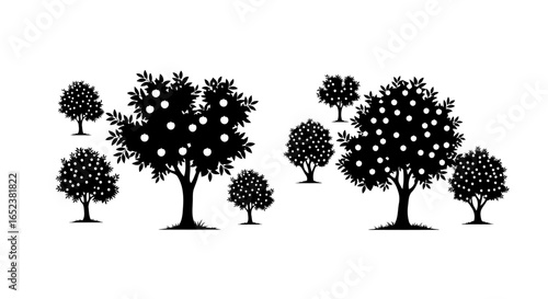 transparent background orchard silhouette of fruit trees for design projects