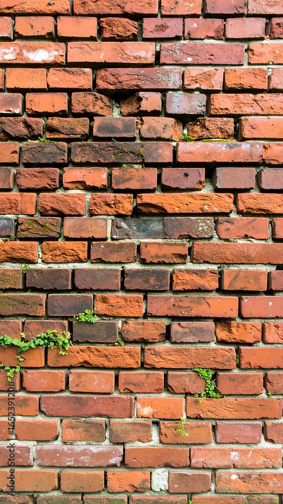 Obraz premium Weathered red brick wall with visible mortar and small plant growth