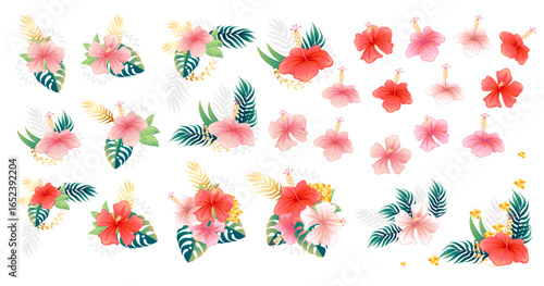 Tropical hibiscus flower collection. Pink and red blooms with green palm leaves. Hawaiian floral arrangements in various compositions. Summer paradise decorative elements. Vector illustration