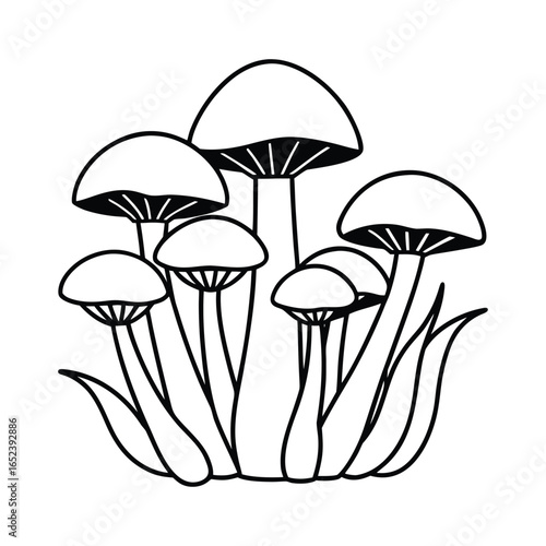Artistic line drawing of a cluster of mushrooms with detailed gills and stems