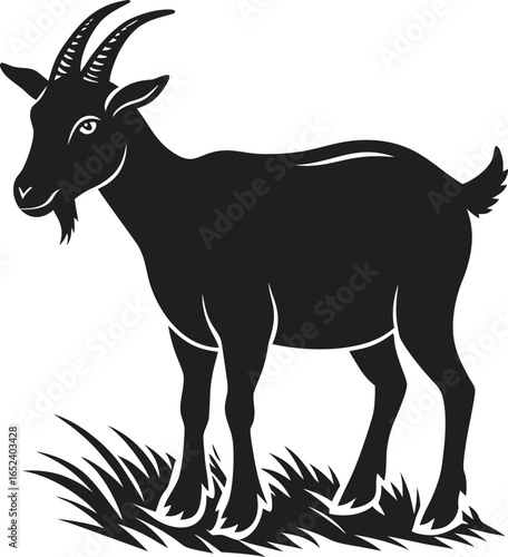 Goat grazing on grass silhouette. Farm animal, livestock, nature, pasture vector isolate on white background