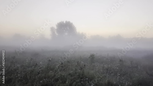 Silhouette embraces the rising sun in morning golden mist.
