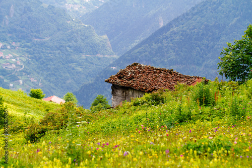 The Black Sea region in eastern Türkiye is famous for its high mountain plateaus, the most popular of which are the Uzungöl and Sultan Murat plateaus.