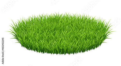 Lush green ovalshaped patch of grass densely packed and slightly textured on a white background