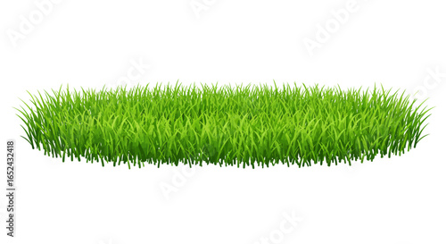 A patch of vibrant green grass stands against a stark white backdrop