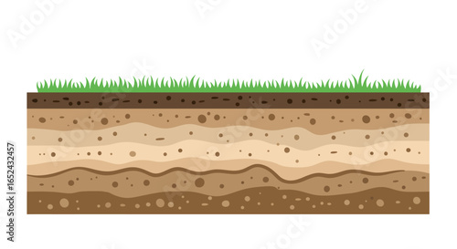 Soil layers with green grass on top showing different textures and colors