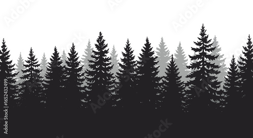 A dense row of alternating black and gray evergreen trees against a white background
