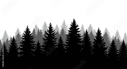 A silhouette of evergreen trees against a white background
