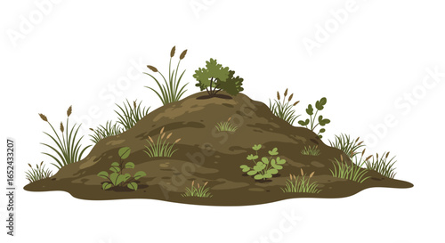 Earth mound with plantlife featuring bushy vegetation reeds small green plants and grass