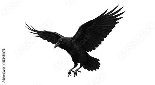 A black raven with outstretched wings and visible talons depicted against a plain white background