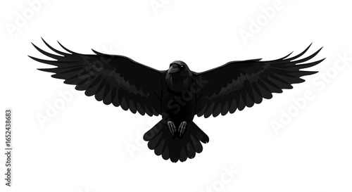 A raven flies with wings spread wide