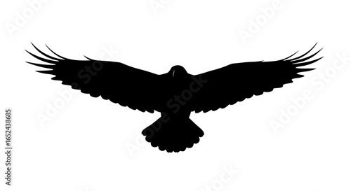 Silhouette of a bird with outstretched wings against a white background