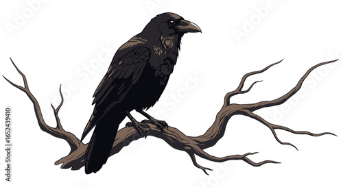 A black crow perches on a bare branching limb
