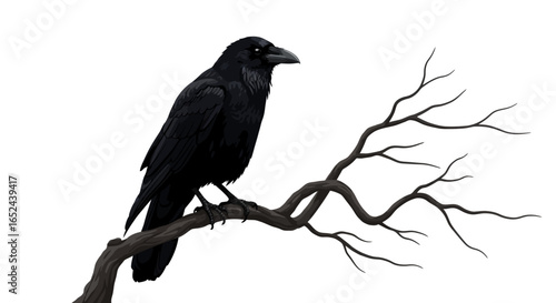 A black raven sits on a bare grey branch against a white background