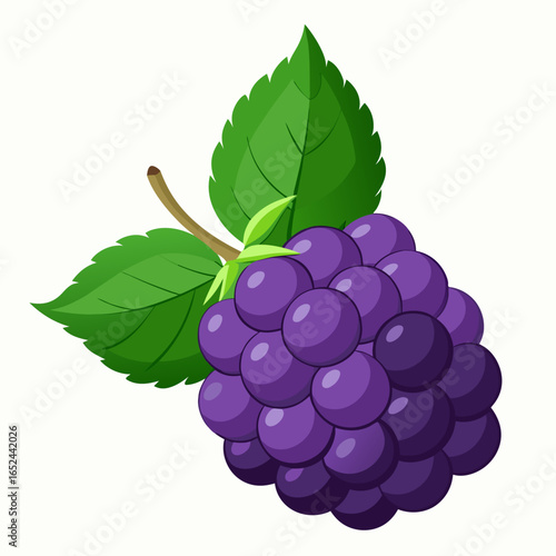 bunch of grapes isolated on white
