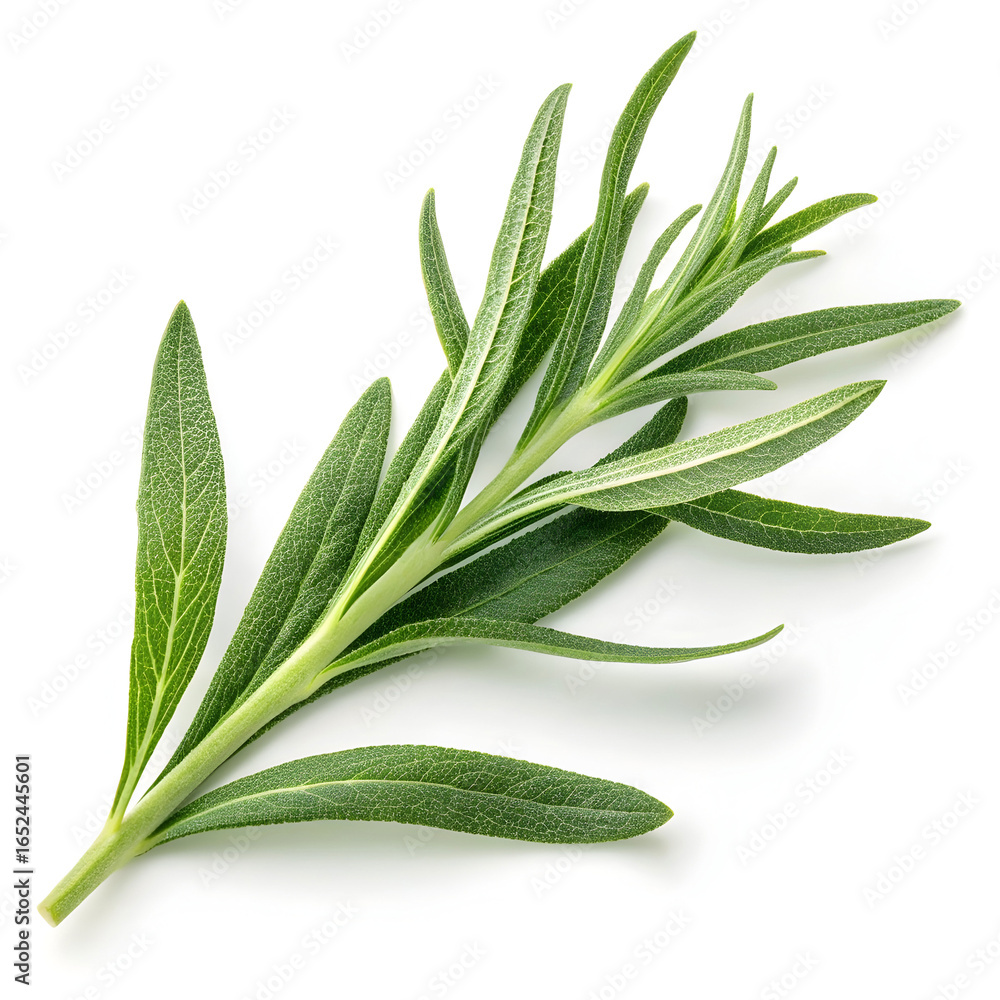 Obraz premium Dried tarragon leaves isolated on white background, showing slender, aromatic green leaves commonly
