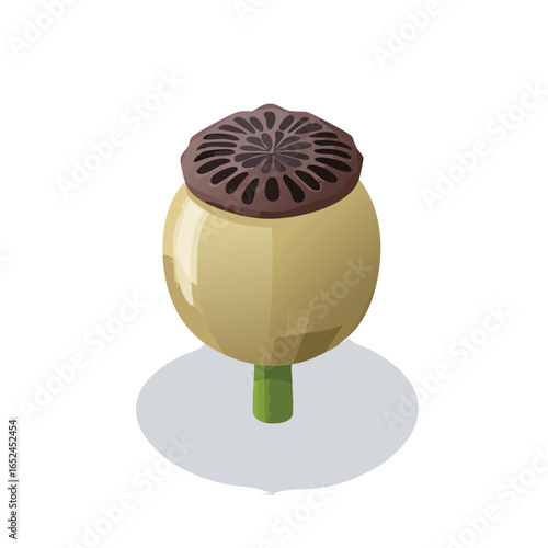 Poppy Seed Isometric vector illustration with clean 3D perspective.