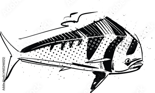 vector hand-drawn sketch of a Roosterfish Dorado