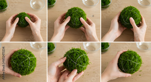 Hands crafting Kokedama moss ball step-by-step. Shaping and wrapping a green plant sphere with string on a wooden surface, DIY gardening.