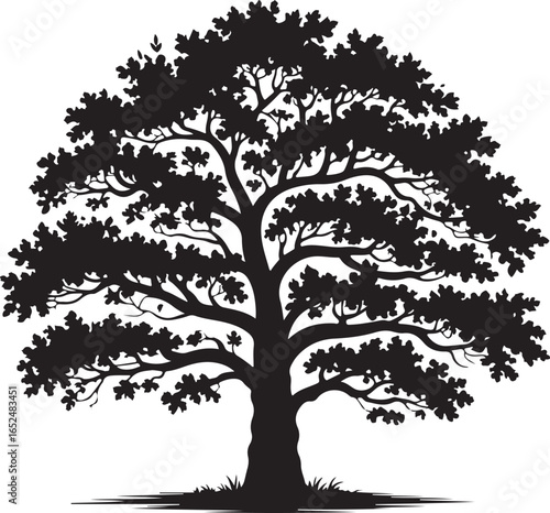 A detailed and lush silhouette of a large, full-grown tree with a thick canopy of leaves.