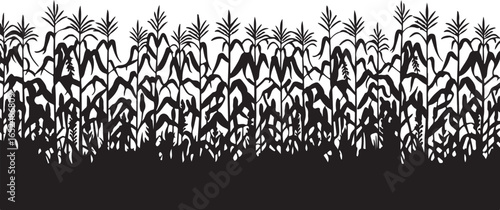 A detailed line art illustration of a dense field of corn stalks, featuring their leaves and ears.