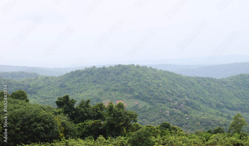 Obraz premium The view of the mountains is very beautiful.