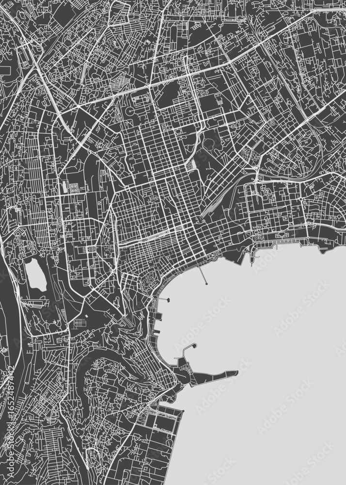 Obraz premium City map Baku, monochrome detailed plan, vector illustration