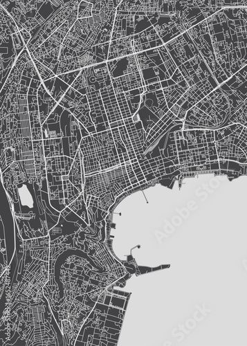 City map Baku, monochrome detailed plan, vector illustration