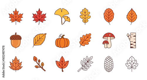 Vector Icons Set of Colorful Autumn Icon Set Clean Line Art of Leaves Pumpkin and Forest Finds. Vector Illustrations. EPS Editable